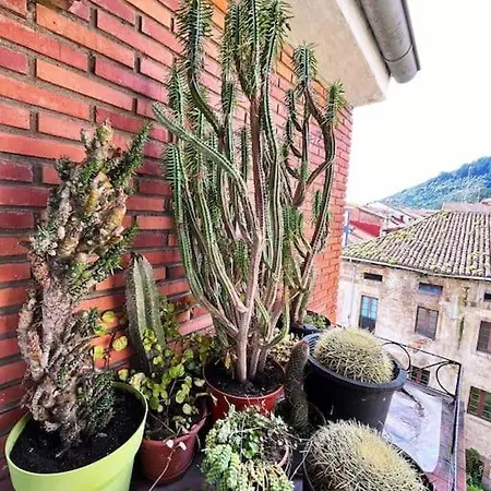 Borja El Marino Lägenhet